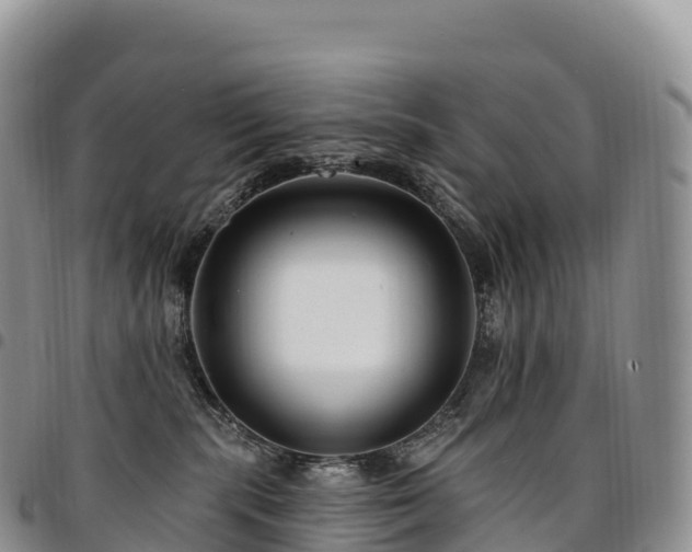 X0000094920283200711291319