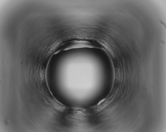 X0000094920285200711291319