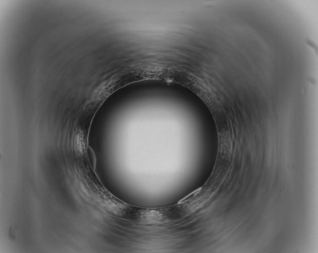 X0000094920287200711291319