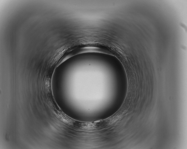 X0000094920288200711291319