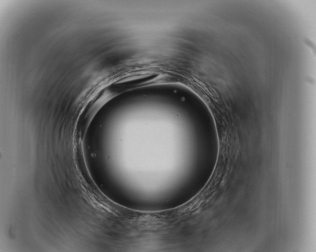 X0000094920290200711291318