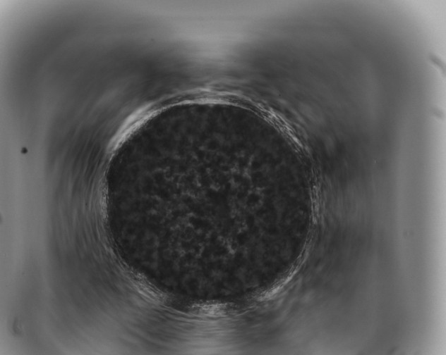 X0000094920295200711291318