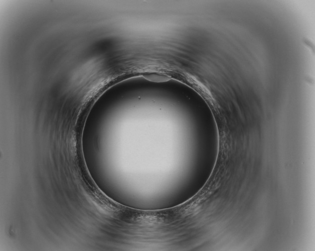 X0000094920298200711291318