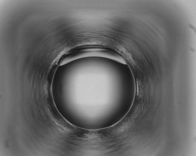 X0000094920300200711291318