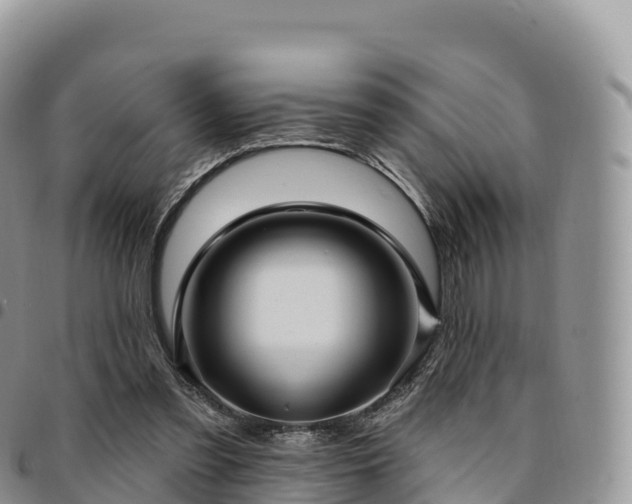 X0000094920301200711291318