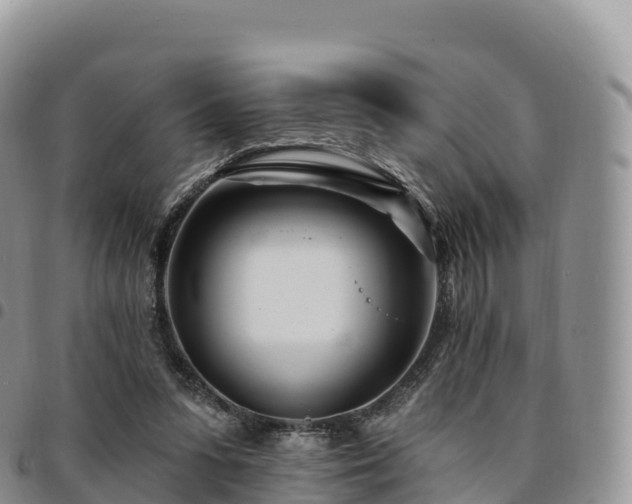 X0000094920303200711291318