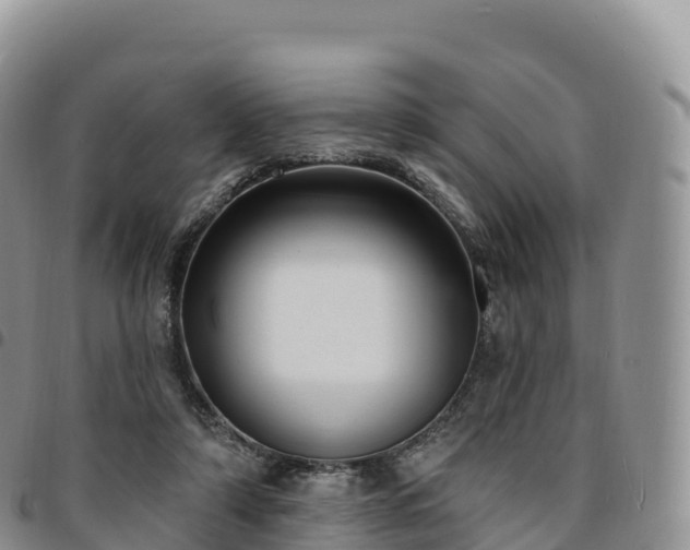 X0000094920306200711291318