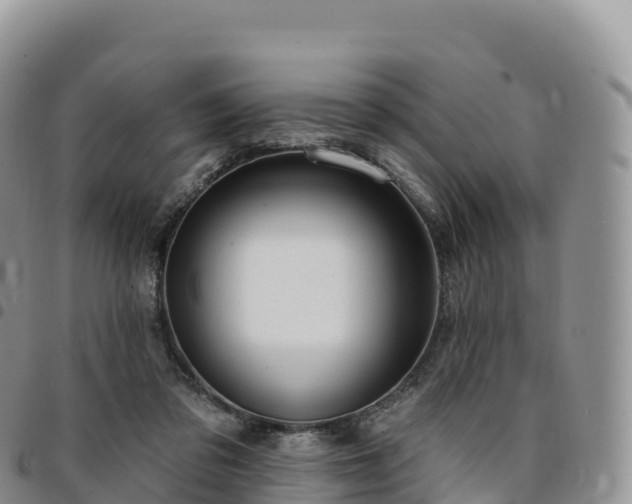 X0000094920309200711291318