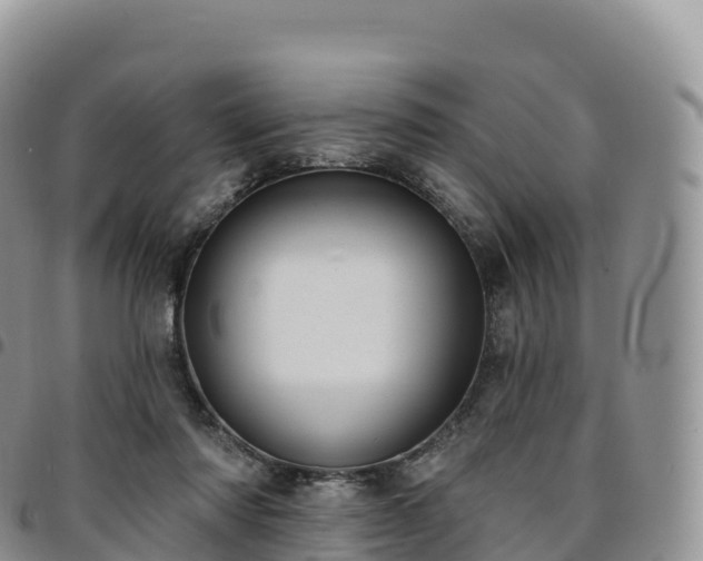 X0000094920310200711291318