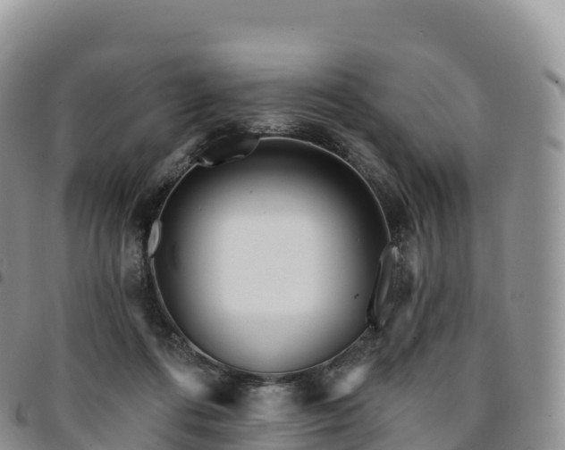 X0000094920312200711291318