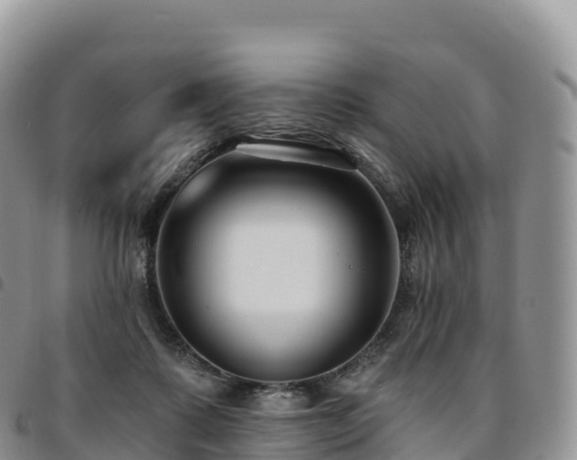 X0000094920315200711291318