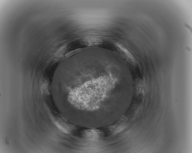 X0000094920316200711291318