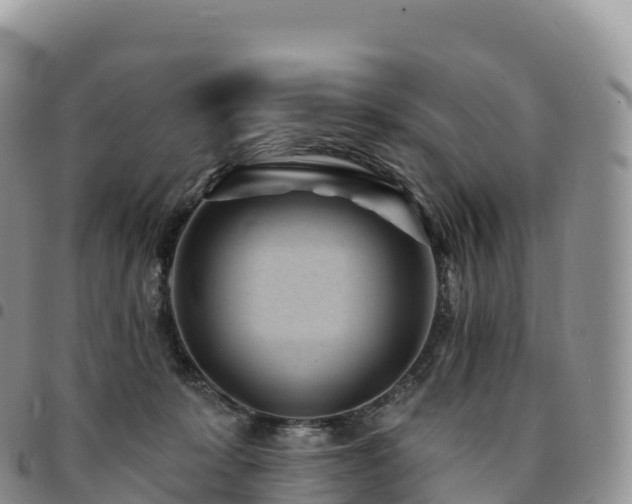 X0000094920319200711291318
