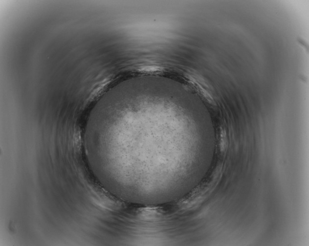 X0000094920320200711291318