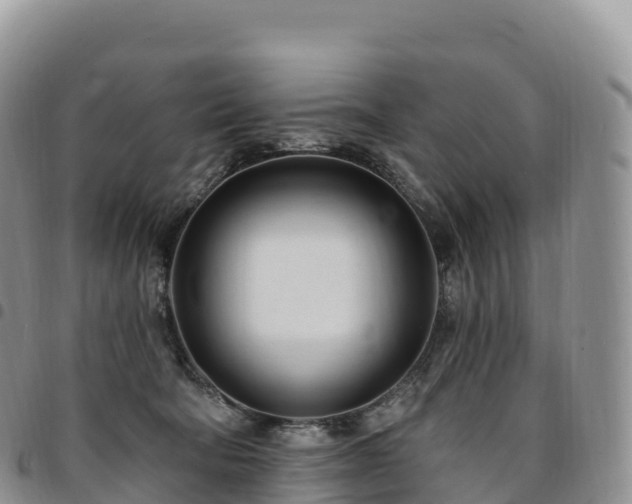 X0000094920322200711291318