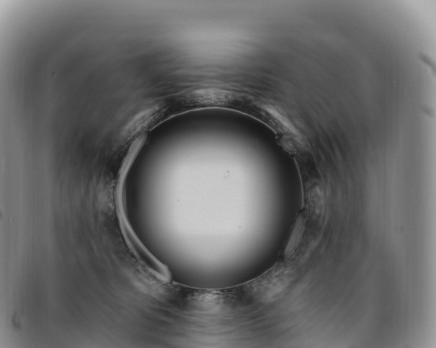 X0000094920325200711291318