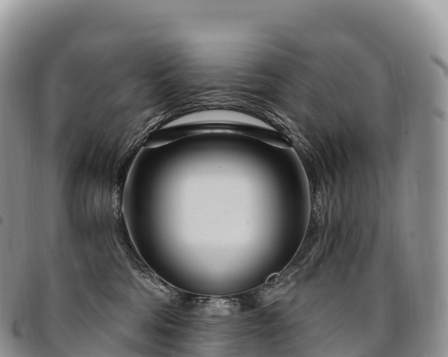 X0000094920330200711291318
