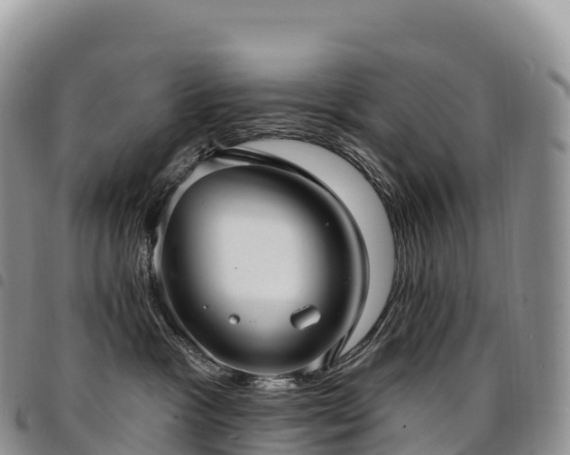 X0000094920333200711291318