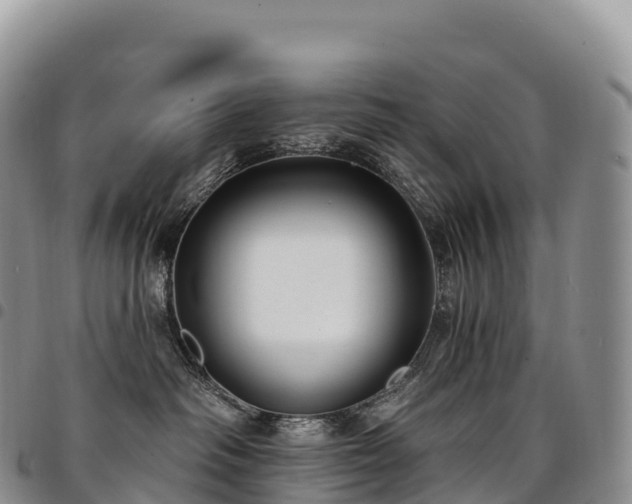 X0000094920334200711291318