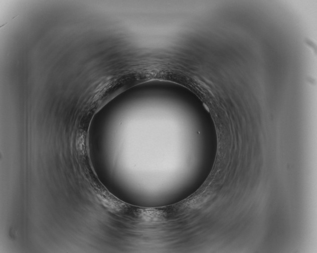 X0000094920336200711291318