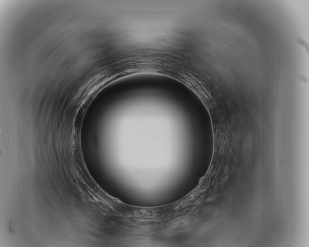 X0000094920338200711291317