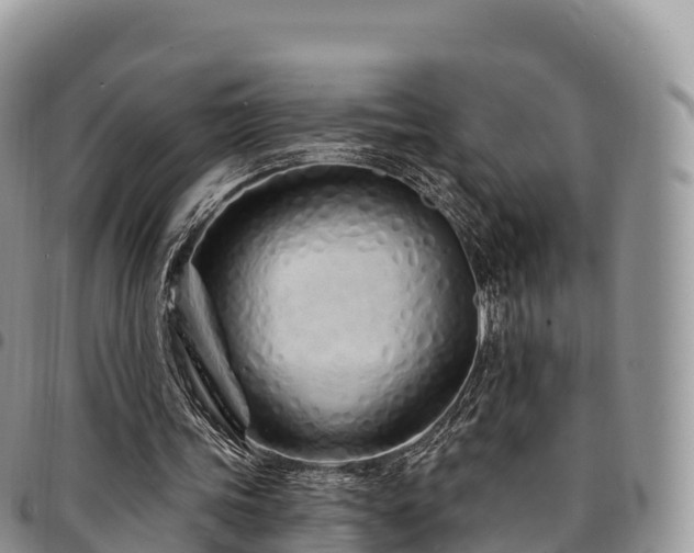 X0000094920339200711291317
