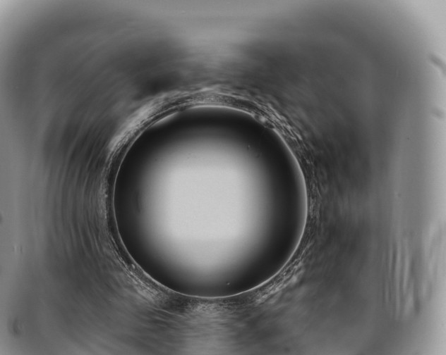 X0000094920341200711291317