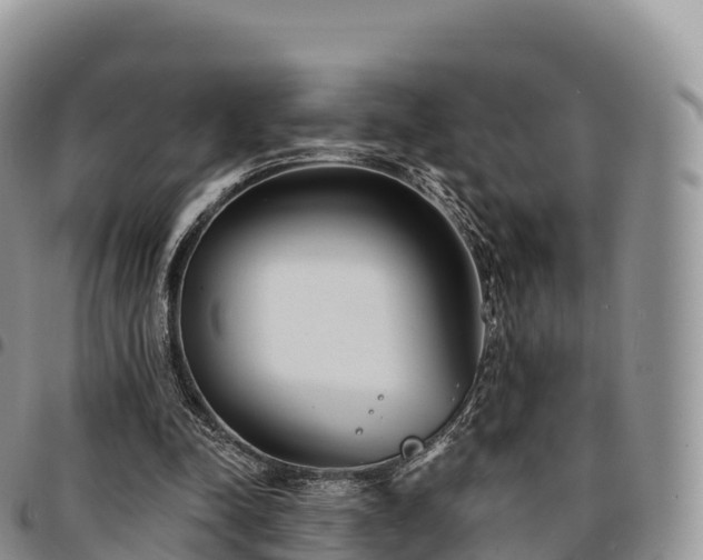 X0000094920342200711291317