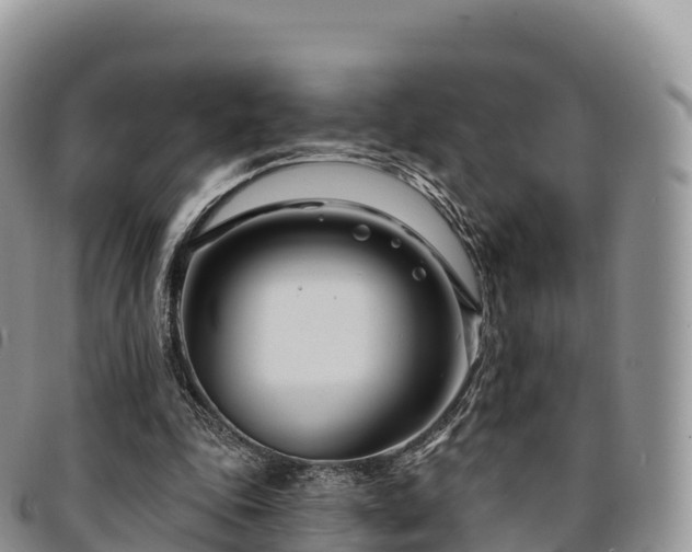 X0000094920343200711291317
