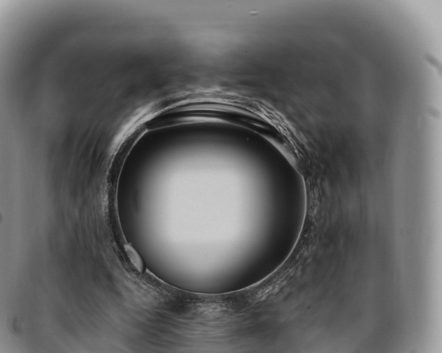 X0000094920344200711291317