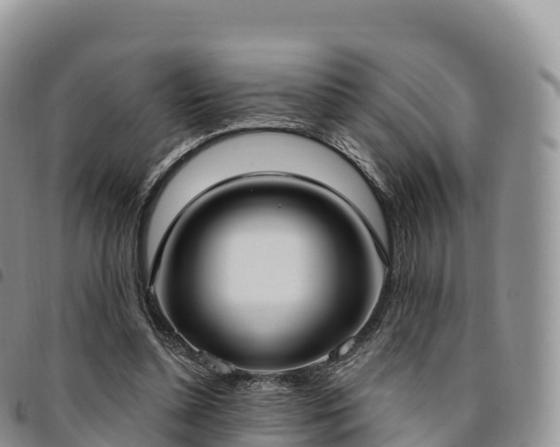 X0000094920348200711291317
