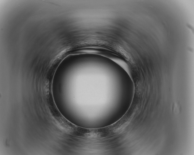 X0000094920356200711291317