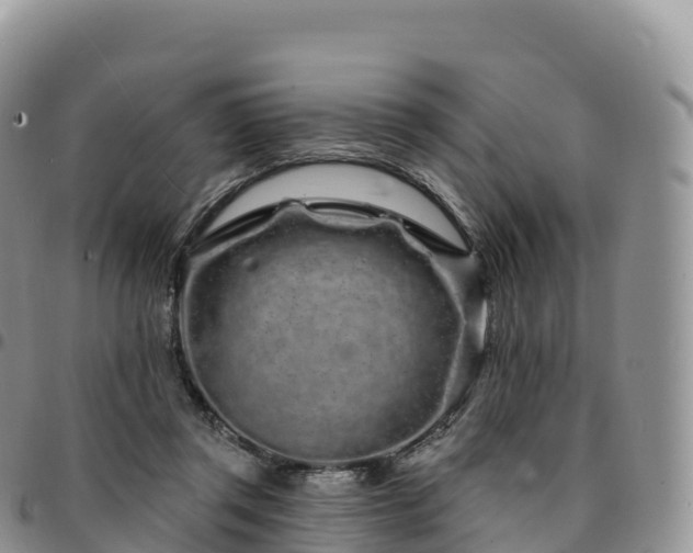 X0000094920357200711291317