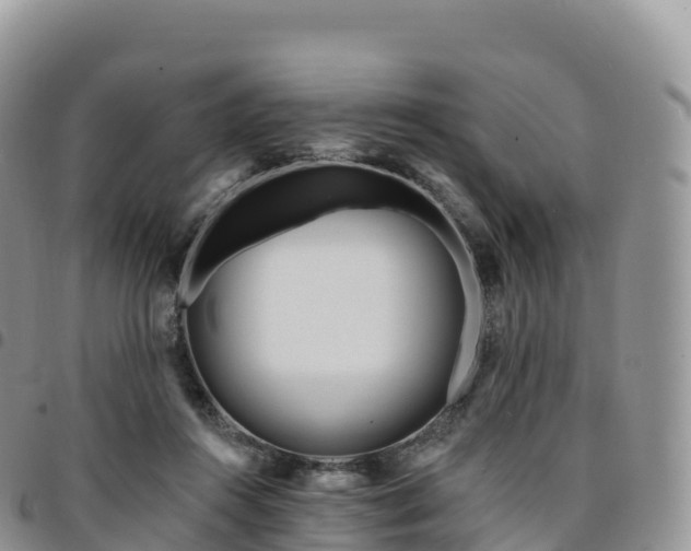 X0000094920360200711291317