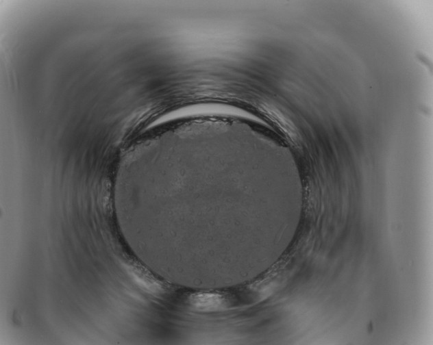 X0000094920361200711291317