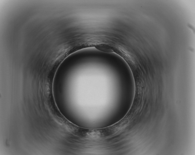 X0000094920362200711291317