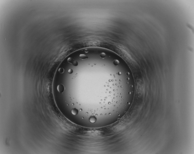 X0000094920363200711291317