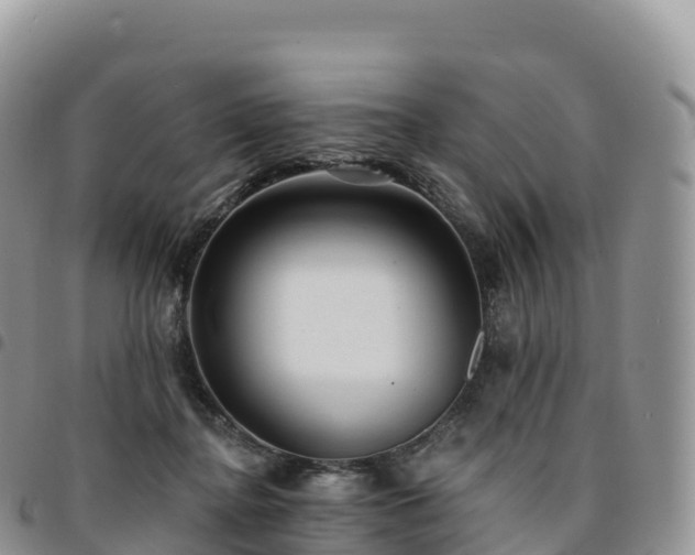 X0000094920364200711291317