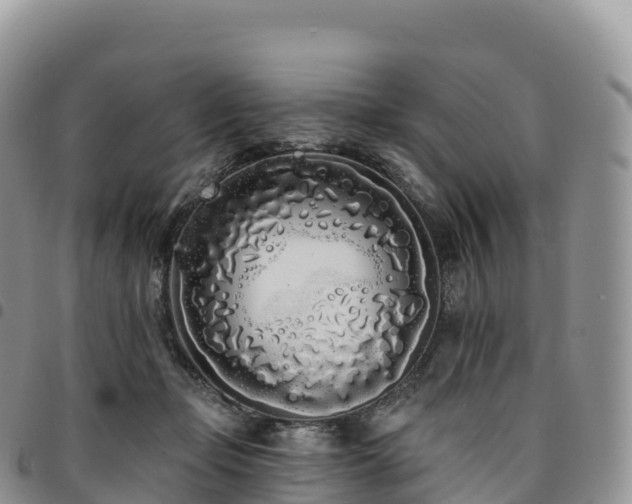 X0000094920365200711291317