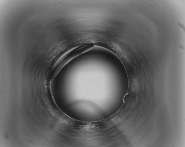 X0000094920366200711291317
