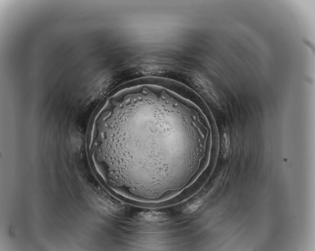 X0000094920367200711291317