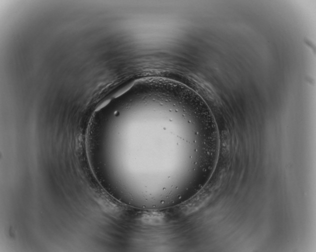 X0000094920369200711291318