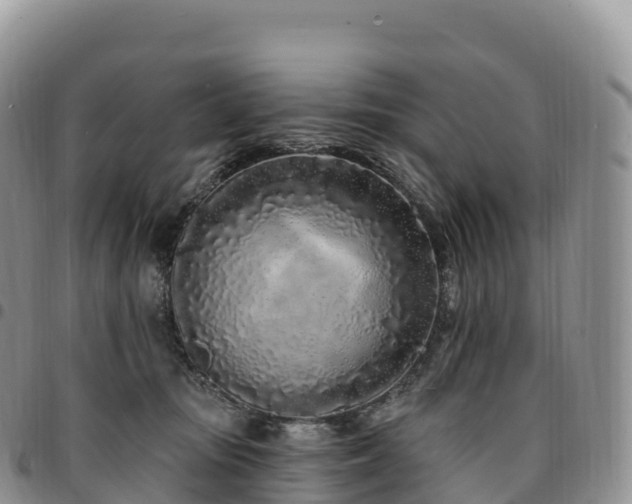 X0000094920371200711291318