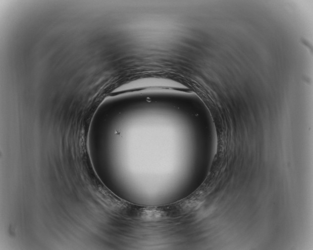 X0000094920376200711291318