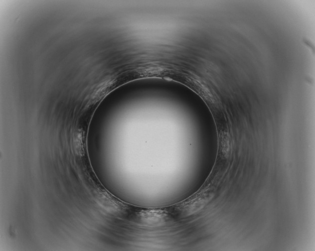 X0000094920378200711291318