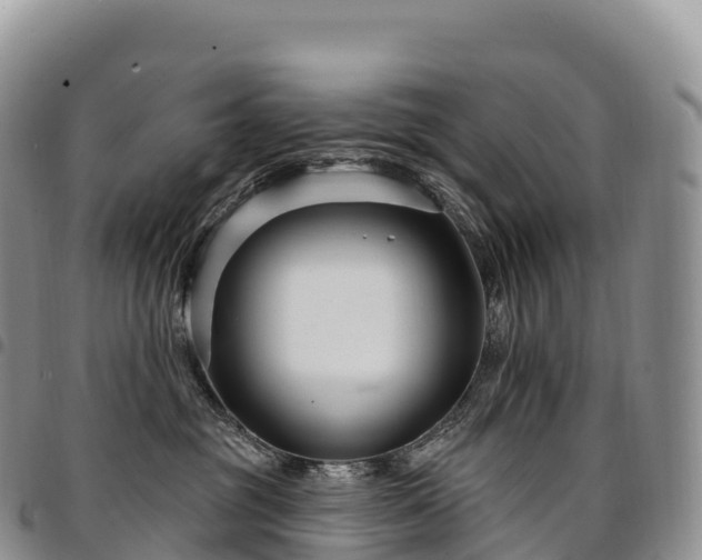 X0000094920381200711291318