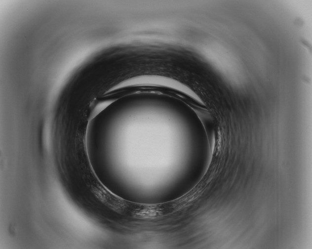 X0000094920383200711291318