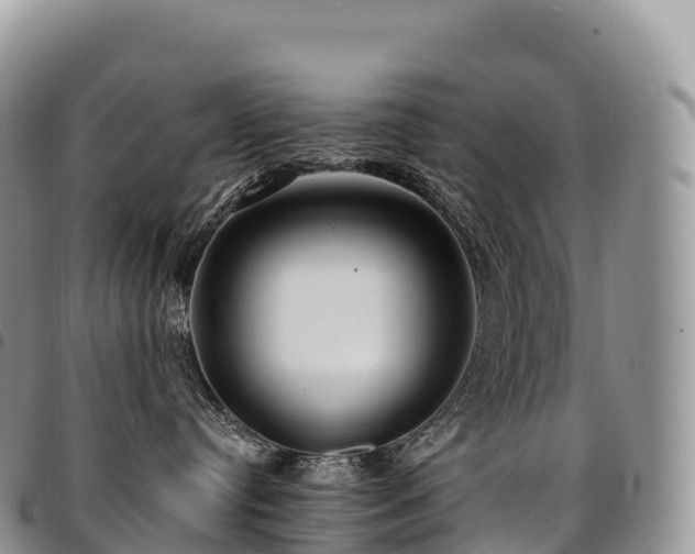 X0000094920384200711291318