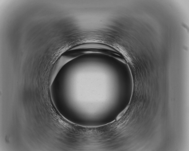 X0000094920385200711291317