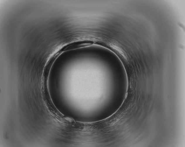 X0000094920388200711291317